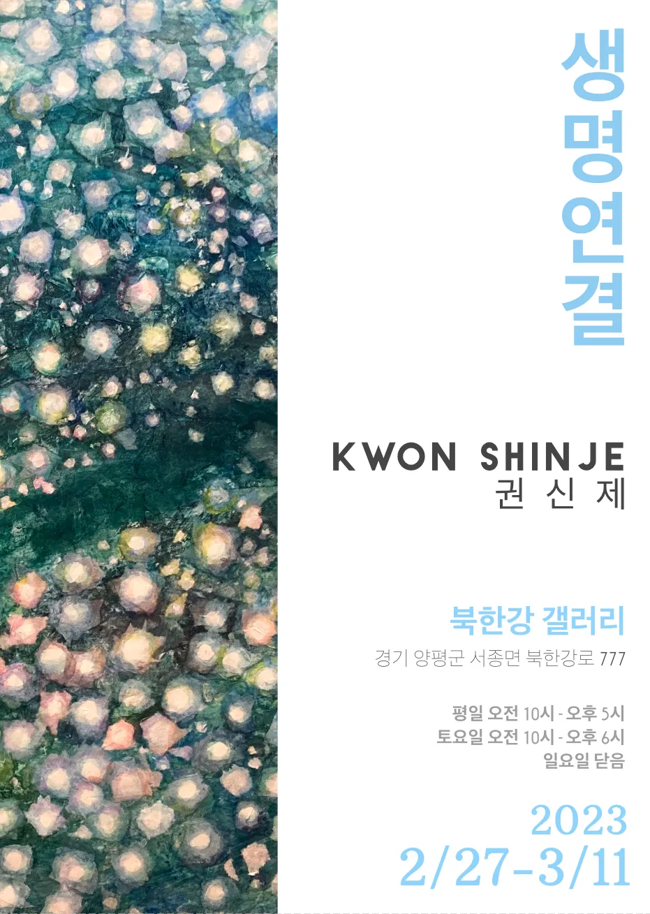 생명연결